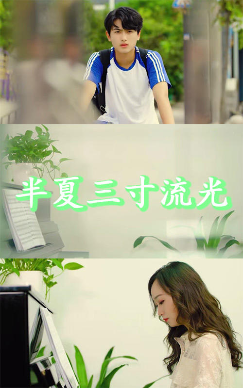 半夏三寸流光