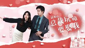 试婚后，总裁玩命要娶我