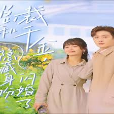 总裁和千金，隐藏身份闪婚了